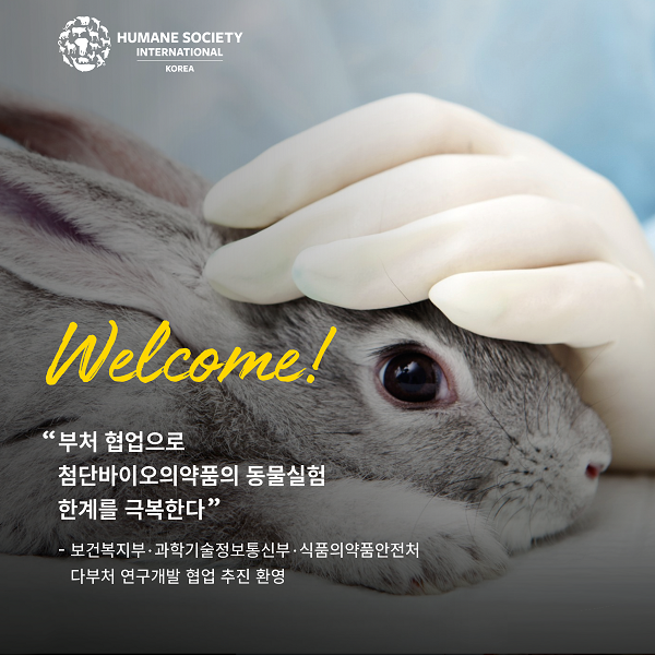 HSI, “부처간 협업 통한 동물대체시험 확대 환영”