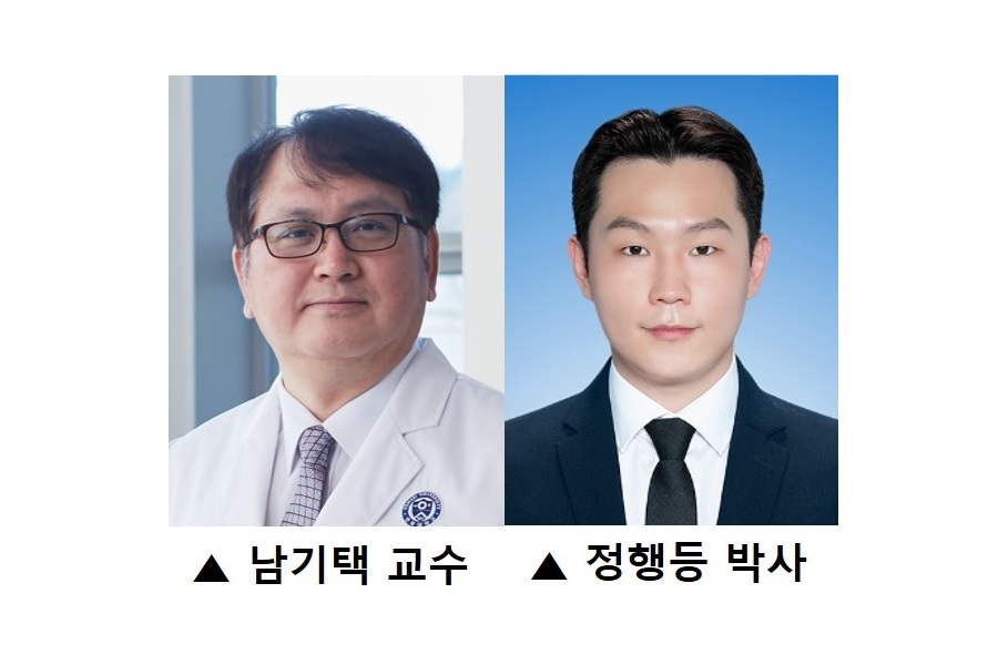 위장 질환 예방·치료 가능한 장내 미생물 메커니즘 규명